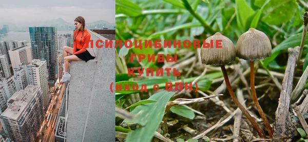 МДПВ Алзамай