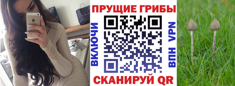 Псилоцибиновые грибы мухоморы  мега вход  Абакан 